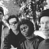 steve kimock band