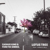 Lotus Tree