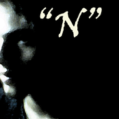 "N"очная прогулка