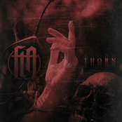 Thorn - Single