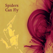 Spiders Can Fly: Spiders Can Fly