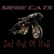 Cat Out of Hell