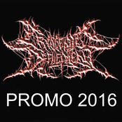 Promo 2016