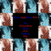 The Extraordinary Chaos of an Ordinary Day