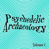 Psychedelic Archaeology Vol 1