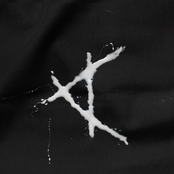 Flock Analogy / Beach Baby