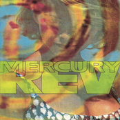 Chasing A Bee by Mercury Rev