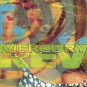 Blue And Black by Mercury Rev