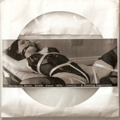 A Bonding Experience