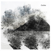 Coclea