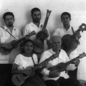 grupo mono blanco