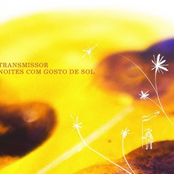 Noites com Gosto de Sol