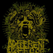 Demo