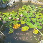 Uprooted