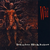 Wounded by Inkubus Sukkubus