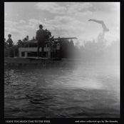 The Gunshy: I Gave Too Much Time To The Wine And Other Collected Eps