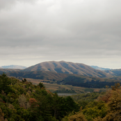 Dirty Projectors: Mount Wittenberg Orca