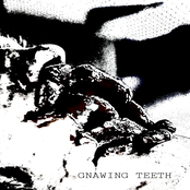 GNAWING TEETH HALLOWEEN 2021