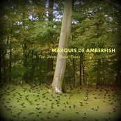 In Too Deep: Rare Traxx