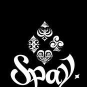 spay