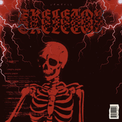 Skeleton