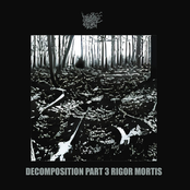 Decomposition Part 3 Rigor Mortis