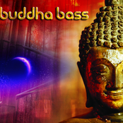 buddha bass