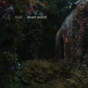 Dead Wood - EP