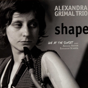 Shape.Live at the Sunset