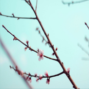 Black Nerd Collection No.2