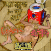 Toilet Slaves 3-Way Split