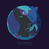 N O C T Á M B U L O