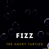 The Hacky Turtles: Fizz