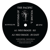 Rhythms Of The Pacific Volume 2.