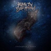 Stronghold/Videw