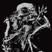 アゲンストザペイン (BiS2nd)