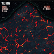 Mantle / Chronal / Bloom