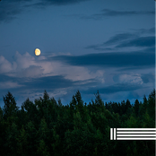 Night Crickets Sounds