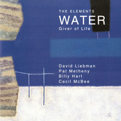 Dave Liebman, Pat Metheny, Cecil Mcbee, Billy Hart