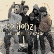 go bobz dansband & barverksamhet