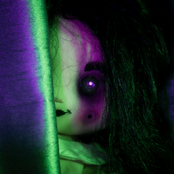 Into the Iris - Single