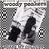 Shake My Colours / Positivo