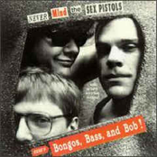 Never Mind The Sex Pistols, Here's Bongos, Bass, And Bob (What On Earth Were They Thinking???)