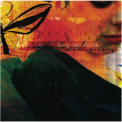 Not A Wall But A Bridge