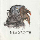 New Growth