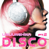 D.I.S.C.O Part2