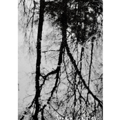 Sleep Until The Colors Dissolve