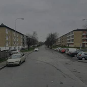 Tigrarna från Högsbo 2006-2010