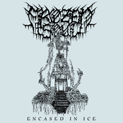 Frozen Soul: Encased in Ice