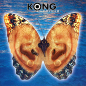 Spoomfly by Kong